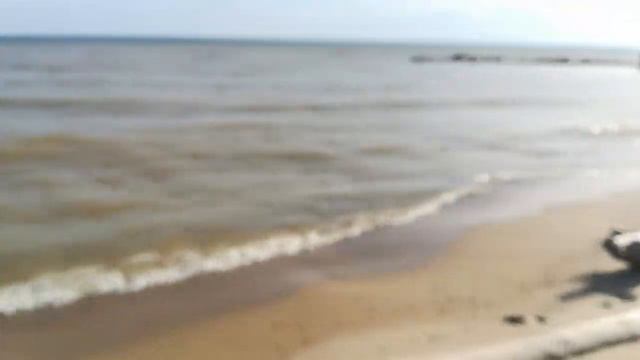 VLOG*Обское море*Красоты Новосибирской области*Берег*Вода*Море смотреть онлайн