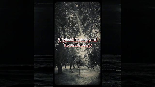 Лже друзья(современный взгляд на стихи) смотреть онлайн