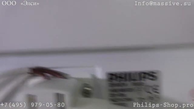 Потолочный Philips 32615-31-16 Ecomoods 1x2GX13 40W IP20 смотреть онлайн