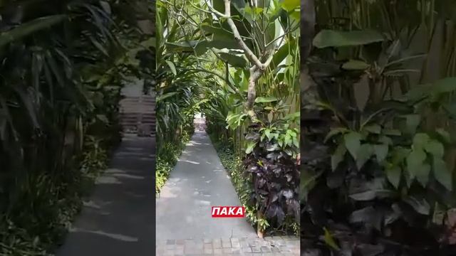 Наколки у сидевших смотреть онлайн