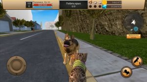 Симулятор Кота - Жизнь Животных #2 Кошка Кида родила маленького котенка в Cat Simulator Animal Life