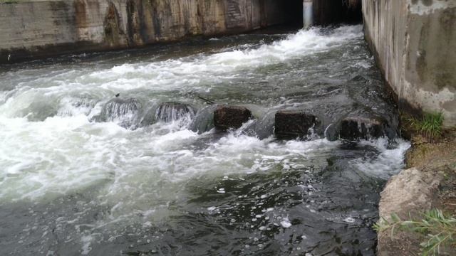 Еловское водохранилище смотреть онлайн