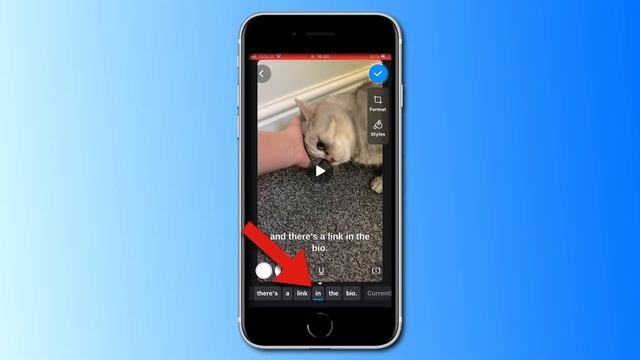 How to Add TikTok Captions | VEED Captions App смотреть онлайн
