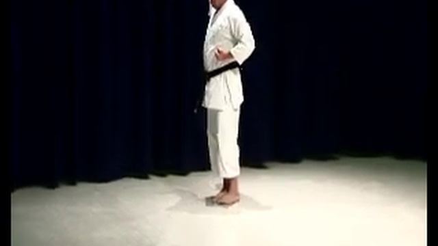 Bassai Dai Shotokan Karate Kata