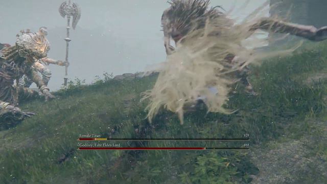 Can ANY Boss Survive The Attack On Titan? - Elden Ring смотреть онлайн