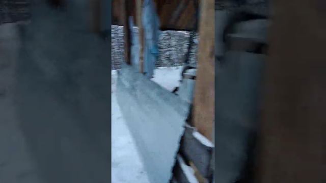 В зимовье 14 февраля 2021г. смотреть онлайн