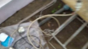 Супер, двойная пленка в теплице\первые морозы -9.