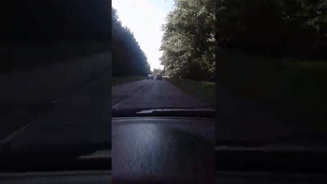 ДПС г.Неман смотреть онлайн