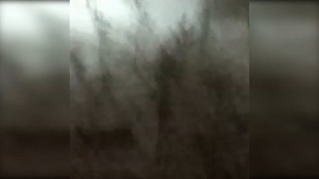 Писающий хохотун попал на камеру в Волжском смотреть онлайн