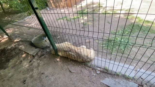 182. Отдых в Казахстане 2022 ?? GREEN PARK Петропавловск ? Ресторан Усадьба | Озеро Пестрое ? смотреть онлайн