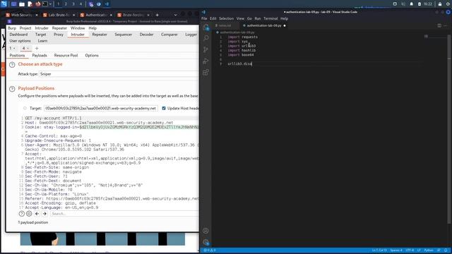 Authentication Vulnerabilities - Lab #9 Brute-forcing a stay-logged-in cookie | Long Version смотреть онлайн