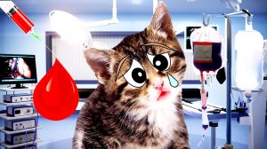 ПЕРЕЛИВАНИЕ КРОВИ!!! Или Аврора УМРЕТ!? Аниса СПАСАЕТ подругу!!!