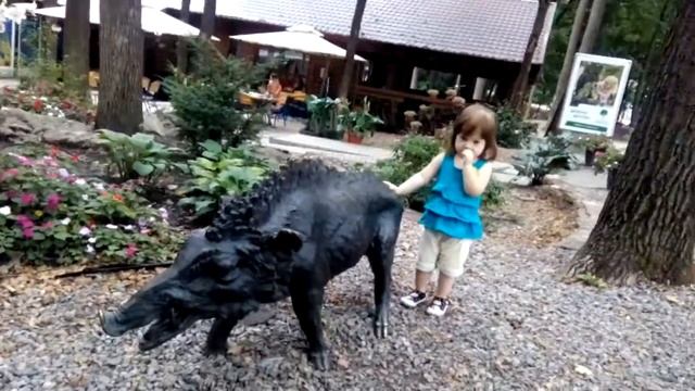 Дикий кабан смотреть онлайн