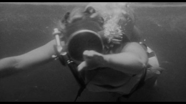 3D Review Revenge Of The Creature (1955) смотреть онлайн