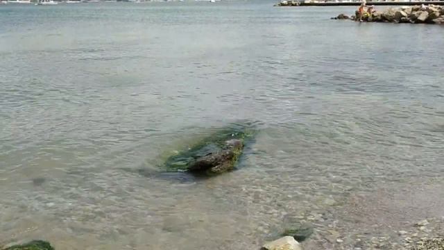 Геленджик Тонкий мыс 15 августа 2021 смотреть онлайн