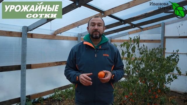 ЧТО МЫ ЕДИМ? Томаты, тыква и кукуруза - опасны? Томаты проросли - можно ли их есть? смотреть онлайн