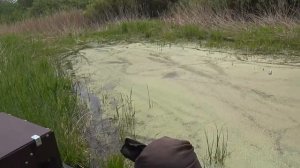 ИСПЫТАНИЕ ВЕЗДЕХОДА БОРУС С АКПП.