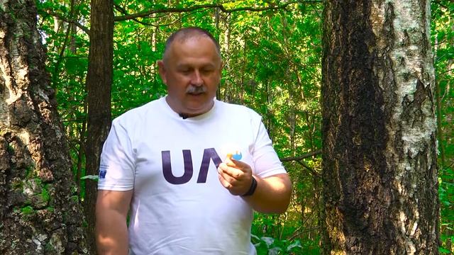 Цікаво знати: Сироїжка жовта_Ранок на каналі UA: ЖИТОМИР 13.08.19 смотреть онлайн