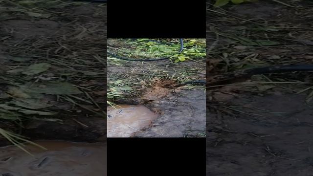 VID_20230722_193814.mp4 смотреть онлайн