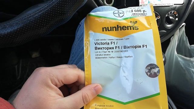 Сеем ранний арбуз Виктория Крым (2019) смотреть онлайн