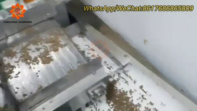 Automatic dog food processing line machines in our Lebanon client's factory смотреть онлайн