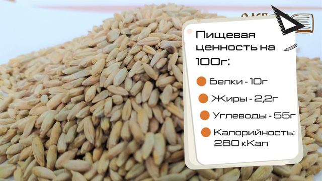 Рожь Шугуровская. Обзор смотреть онлайн