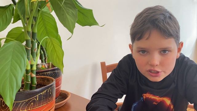 Монолог Родион по книге " Что вырастет из этого ребенка"автор Павел Беренсевич" издательство "Речь" смотреть онлайн