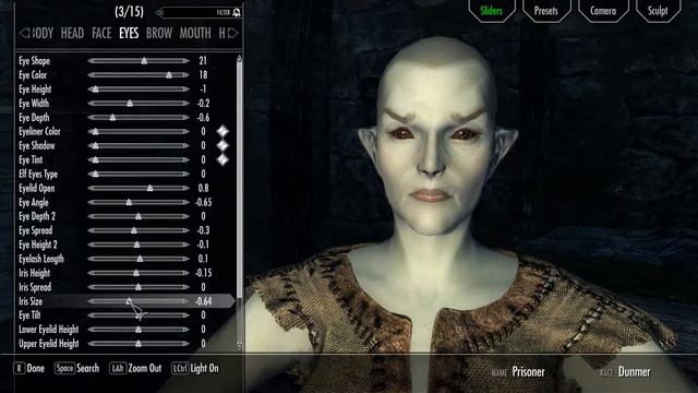 Skyrim - Race Menu - Character Creation