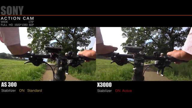 SONY FDR X3000 Or HDR AS300