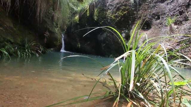 чай оптом смотреть онлайн