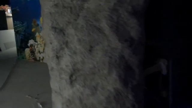 оренбург корридор смотреть онлайн