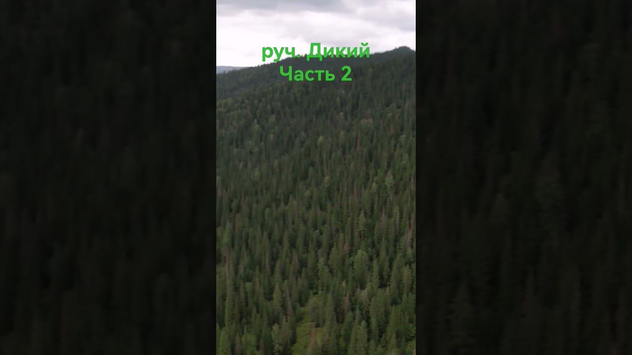 природа красота. коптер. смотреть онлайн