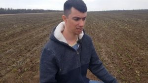 Лён. ТОП-10 пунктов в технологии выращивания льна