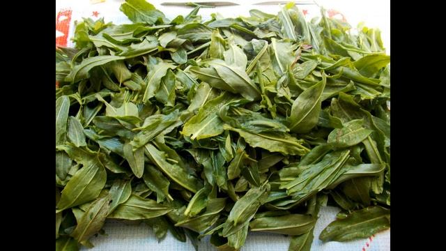 Вегетарианская Кухня