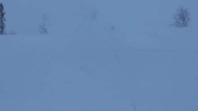 SkiDooKING в Хибинах смотреть онлайн