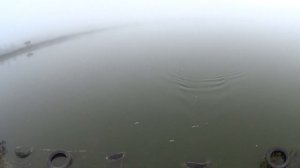 Африканский Сом  Рыбалка бомба