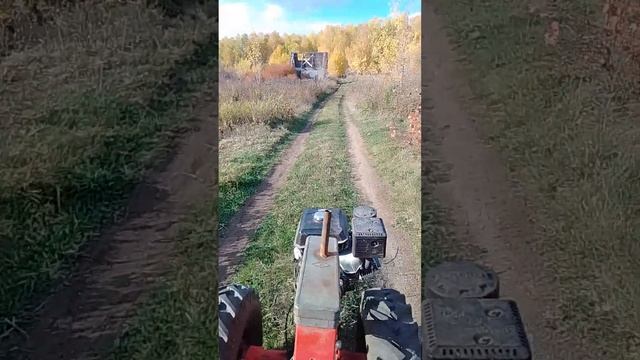 4 октября 2023 г. смотреть онлайн