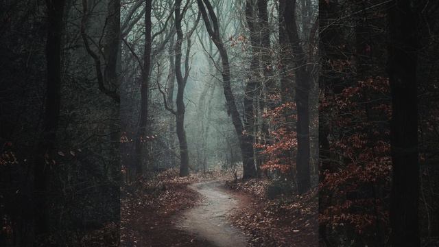 страшные фотографии / монстры, скилеты и тд смотреть онлайн