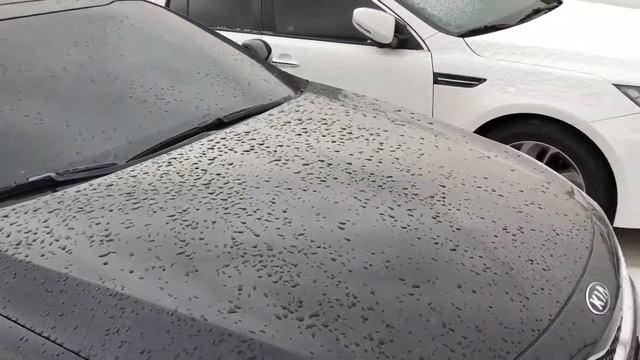 SKOREACAR - Авто из Кореи смотреть онлайн