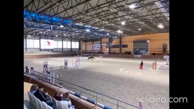 Кобылка от Конкорда. Арт.: 3016 смотреть онлайн