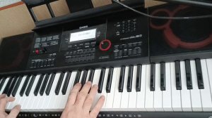 Зимняя ночь. Ласковый май (cover). Синтезатор Casio CT-X3000.
