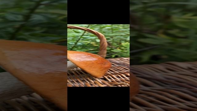 Грибные места Подмосковья