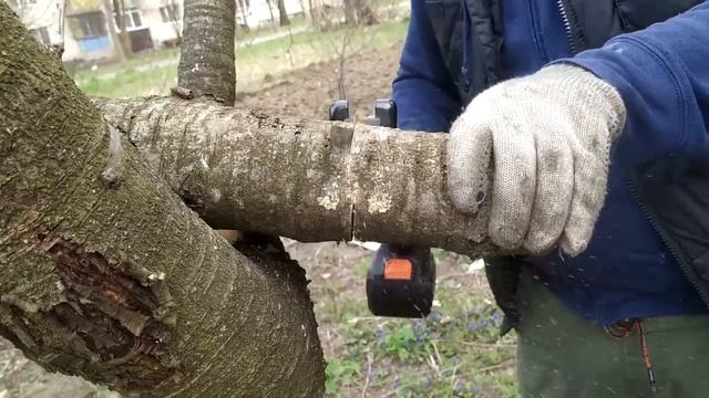 НА ЧТО СПОСОБНАЯ САБЕЛЬНАЯ ПИЛА ДНИПРО-М смотреть онлайн