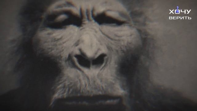 Китайский "Дикий человек". Он же снежный смотреть онлайн