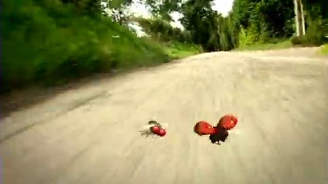 Муха-пришелец смотреть онлайн