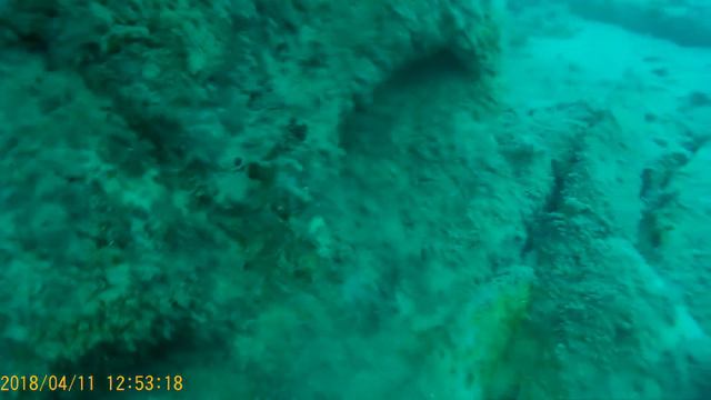 Dive Black Sea 11_04_18 HD смотреть онлайн