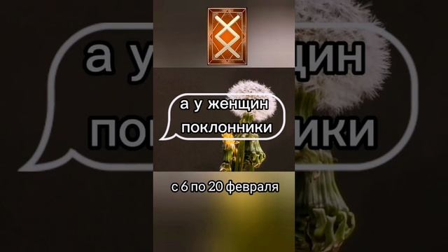 Рунический гороскоп по дате рождения. Ингуз смотреть онлайн