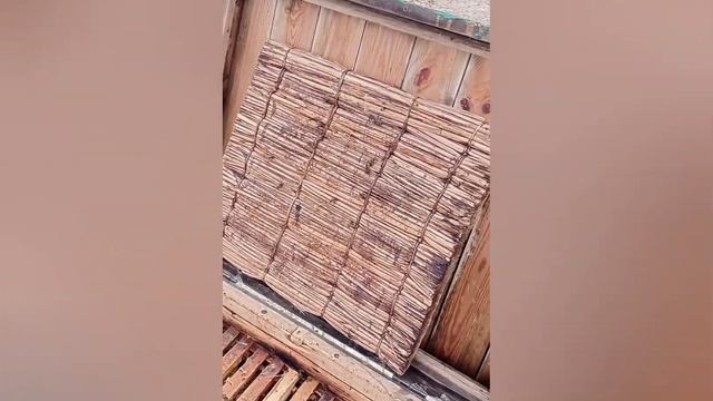 Лучший способ собрать пчёл в зиму ❄️ без хвостиков,плёнки и техноплекса! смотреть онлайн