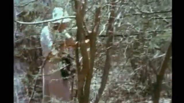 Foxtrot 1976 - Solo Léna.wmv