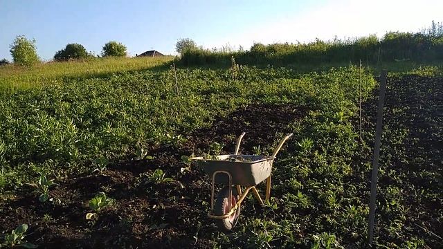 Шлифовка бани,окно, арка на калитке. #своимируками, #шлифовкадерева, #арка, #аркавсаду, смотреть онлайн